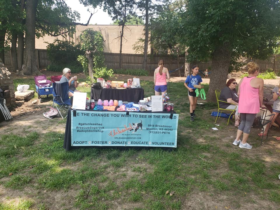 Unleashed Pet Adoption