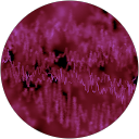 Kim T profile picture